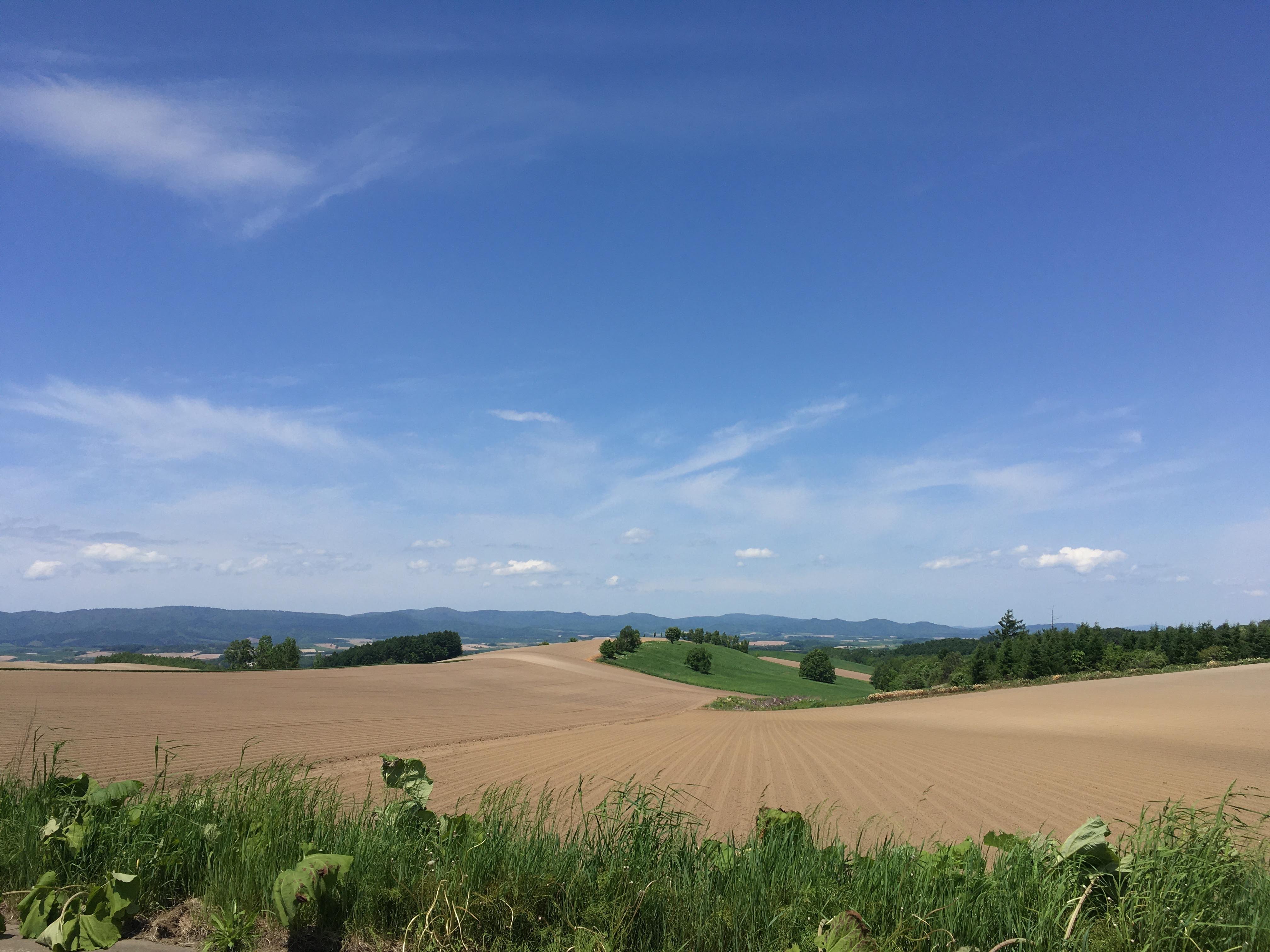美瑛の広大な耕作地と青空