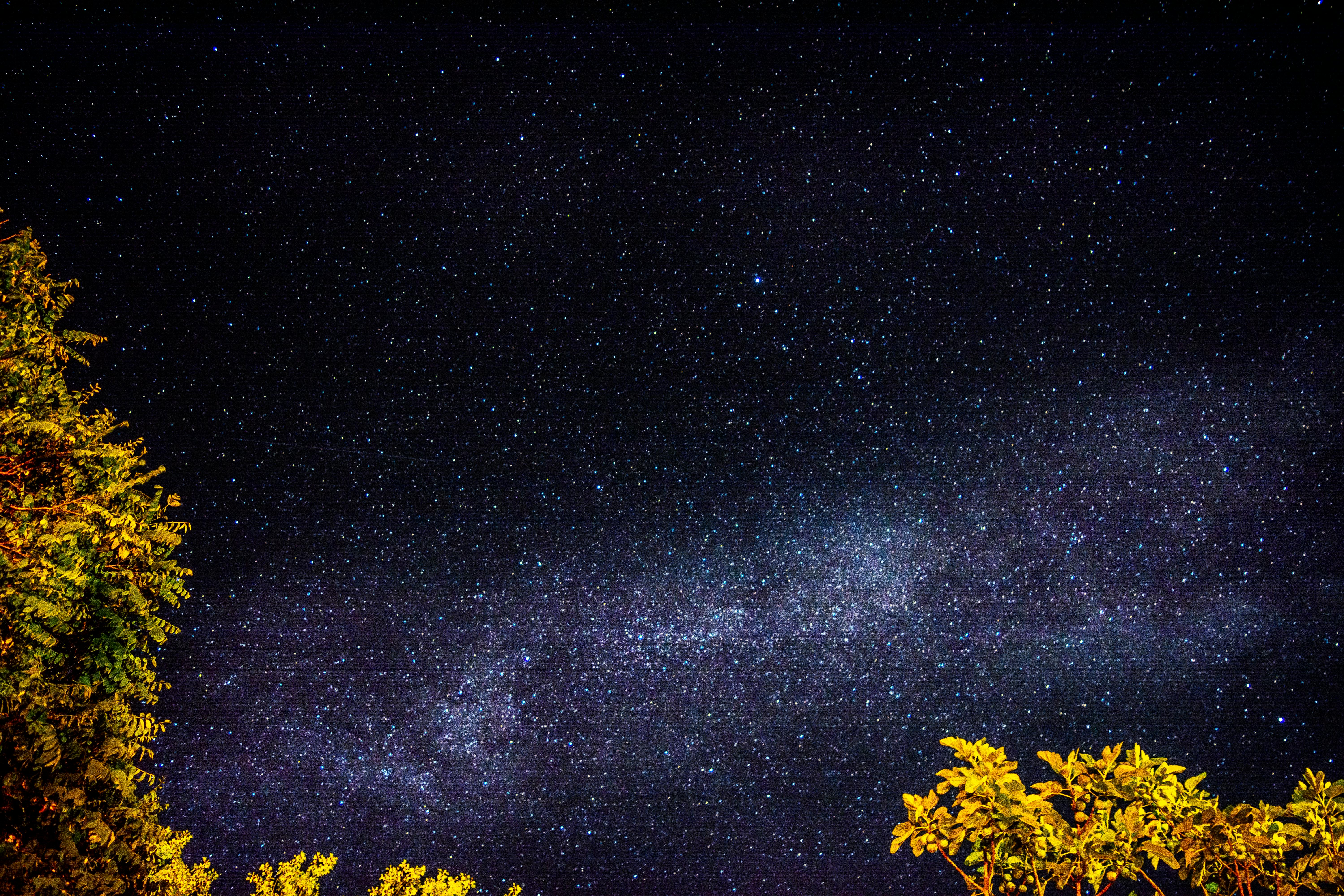 満天の星に手が届く夜